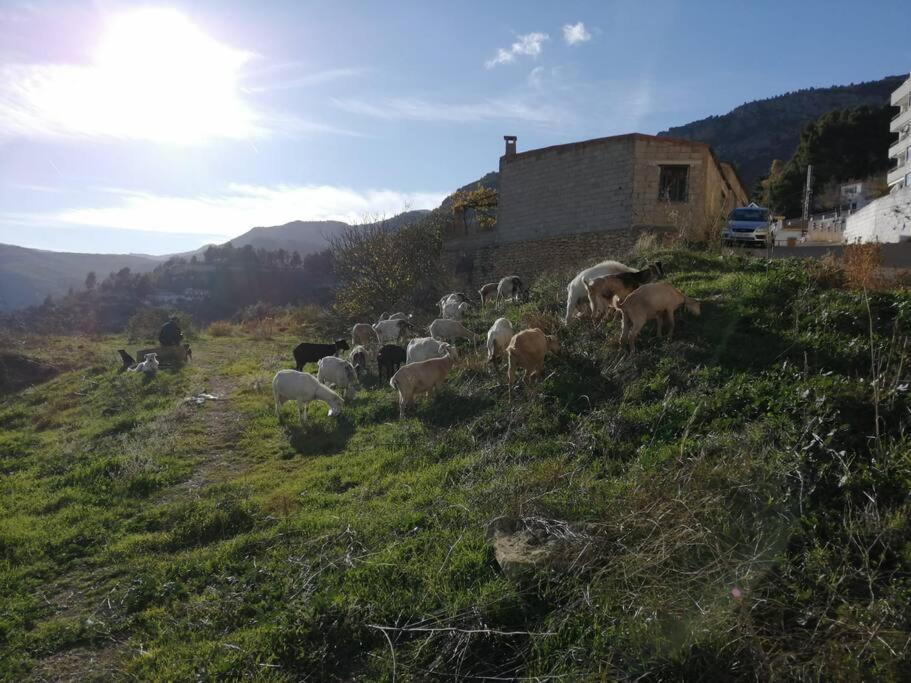 Vila Casa Lourdes Yeste Exteriér fotografie